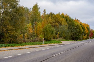 Sonbahar ormanı güneş ışınlarında ve sonbahar renklerinde yol.