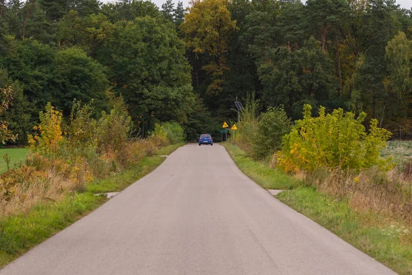 Herbstwald Den Strahlen Der Sonne Und Die Straße Den Herbstfarben — Stockfoto