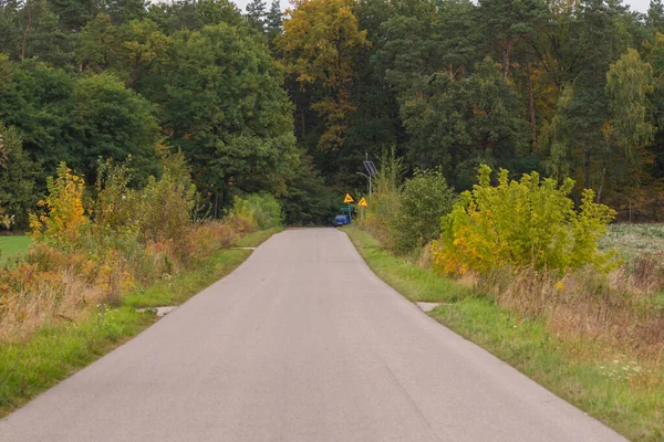 Forêt Automne Dans Les Rayons Soleil Route Dans Les Couleurs — Photo