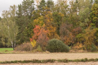 Orman ve tarım arazileri bulutlu bir sonbahar gününde,