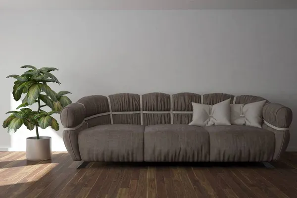 Modern Room Sofa Plant Pot Interior Design Illustration — Stock Photo, Image