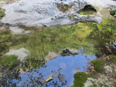 Bir dağ kanyonunun altında, gökyüzü, ağaçlar ve kayalar kanyonun dibinden akan nehre yansıyor, Kırım 'ın Büyük Kanyonu, güneşli bir sonbahar gününde.