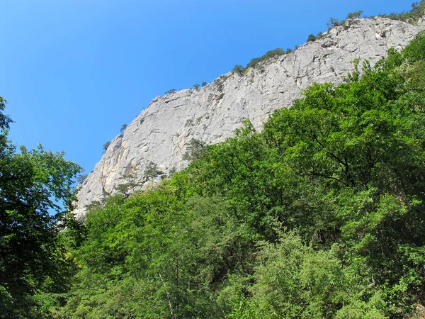 Paesaggio Montano Roccia Contro Cielo Blu Foresta Verde Una Giornata — Foto Stock