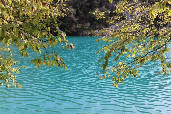 Ősz Plitvicei Tavak Nemzeti Park Horvátország Festői Türkiz Vízzel Zöld — Stock Fotó