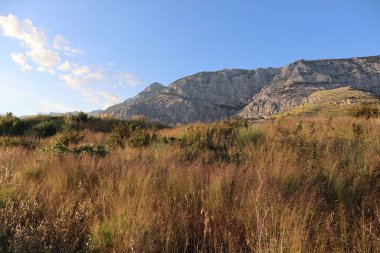 Dağların kayalık yamaçlarında mavi gökyüzüne karşı uzanan dağlar güneşli bir yaz akşamında yanmış çimenler, Hırvatistan ve Dalmaçya. Biokovo dağ sırasının manzarası ve batan güneşin ışınlarıyla dağların yamaçlarındaki çimenler.
