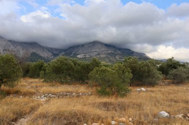Dağlarda sağanak yağış, dağlarda gri bulut, Hırvatistan 'da yaz yağmurlu bir günde zeytin bahçesi. Bulutlarda resim gibi dağlar ve zeytin ağaçları dağların, bulutların ve sarı yanmış otların arkasında.