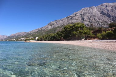 Adriyatik kıyısında pitoresk plaj, denizin arka planında çam ağaçları, dağlar ve mavi gökyüzü, Baska Voda, Hırvatistan. Deniz manzarası, güneş, deniz kıyısındaki çam ağaçları, güneşli bir yaz sabahında Hırvatistan kıyıları.