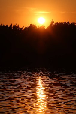 Bright orange sky at sunset over a lake on a summer evening. Scenic view of the lake and the silhouette of trees against the background of the setting sun sky, the water and the sky are orange