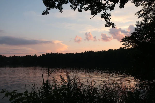 Picturesque lake at sunset against a pink sky, clouds and a tree branch