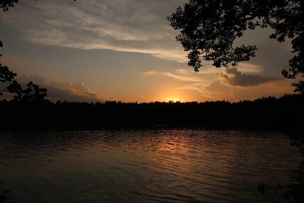 Silhueta Galho Árvore Contra Fundo Lago Céu Nuvens Pôr Sol — Fotografia de Stock