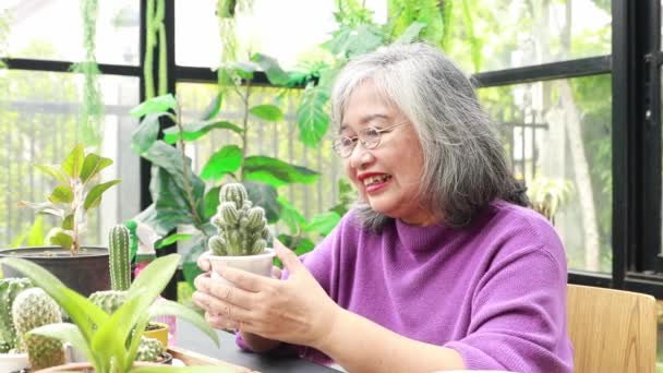 Cámara Lenta Fue Buen Día Para Una Anciana Invernadero Plantando — Vídeo de stock