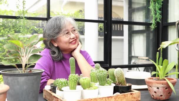 Anciana Jubilada Mujer Asiática Sentó Buen Humor Pensó Algo Feliz — Vídeos de Stock