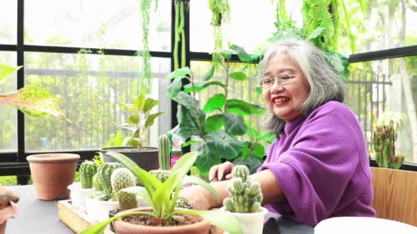 Felicidad Una Anciana Asiática Rincón Tranquilo Casa Sienta Feliz Cuidando — Vídeo de stock