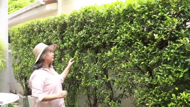 Oudere Vrouwen Kijken Naar Bomen Die Naast Muur Geplant Zijn — Stockvideo