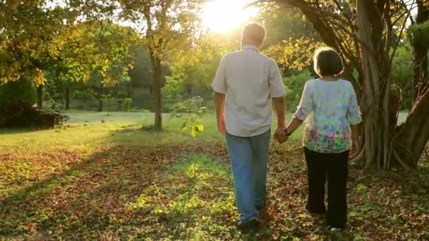 爱命运的夫妻 一对手牵手散步的退休夫妇的爱 以浪漫的方式表达了他们的爱 — 图库视频影像