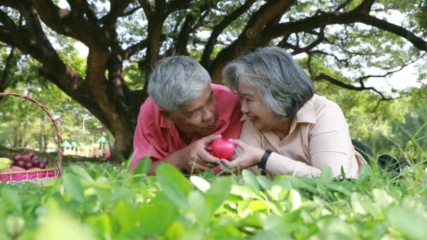 Feliz Pareja Retiro Jardín Verano Retrato Asiático Pareja Ancianos Sosteniendo — Vídeos de Stock