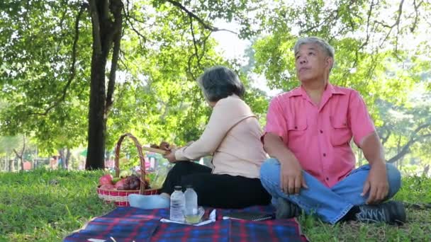 Glad Senior Par Sommarträdgården Asiatiska Senior Par Campingtur Gärna Dela — Stockvideo