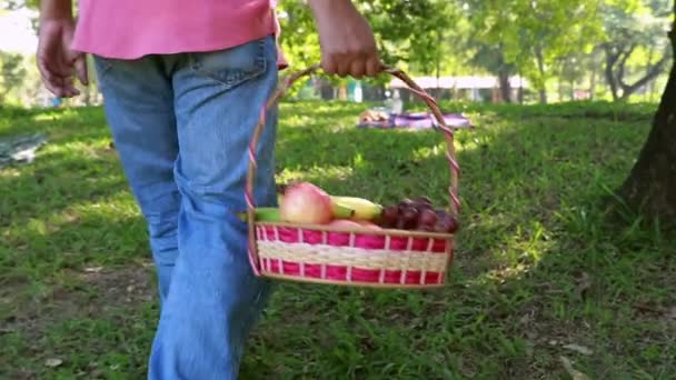 Starszy Mężczyzna Wszedł Trawnik Niosąc Kosz Świeżych Owoców Takich Jak — Wideo stockowe
