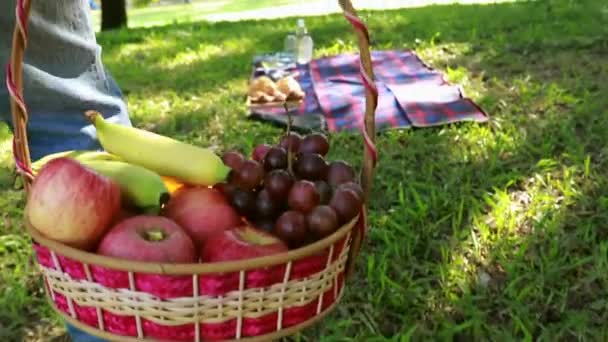 Starszy Mężczyzna Niosąc Kosz Świeżych Owoców Kładąc Ziemi Szedł Trawniku — Wideo stockowe