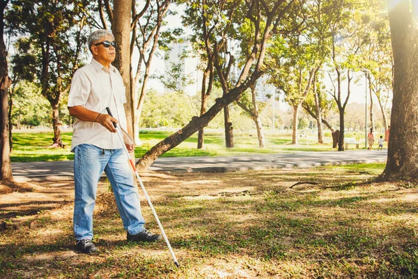 The daily life of an Asian senior blind man wearing dark glasses and using a blind cane to guide him, walks in to relax and relax in the shady public garden in the afternoon.
