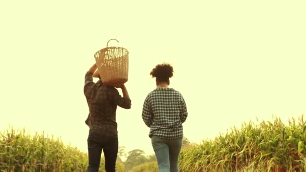 コーン農夫夫婦は トウモロコシ畑で働いた後 幸せに家を歩き 笑顔でお互いに話し合いました 産業農業に転換した異人種間カップルの農業占有 — ストック動画