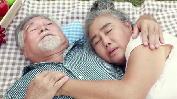 Vacaciones Para Parejas Jubiladas Vista Superior Pareja Ancianos Asiáticos Sanos — Vídeos de Stock