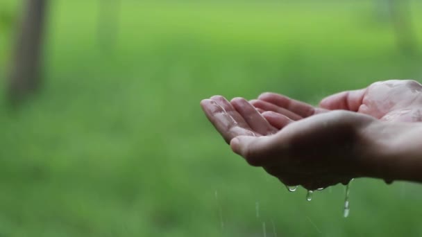 День Земли Женская Рука Поддерживает Капли Дождя Выпадающие Время Сезона — стоковое видео