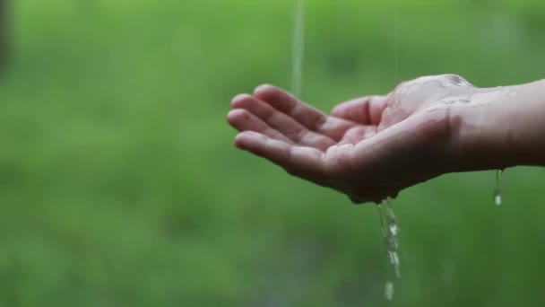 Рука Девушки Смягчает Дождь Который Вода Сильно Брызнула Ладонь Чувствительной — стоковое видео