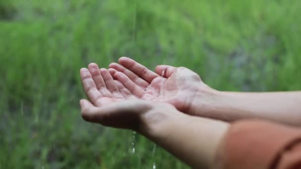 Woman Two Hand Supports Raindrops Falling Rainy Season While Waiting — Stock Video
