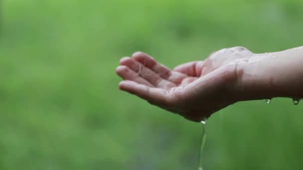 Vrouw Twee Hand Ondersteunt Regendruppels Vallen Tijdens Het Regenseizoen Afwachting — Stockvideo