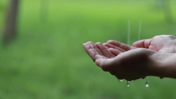 Mano Mujer Sostiene Las Gotas Lluvia Que Caen Durante Temporada — Vídeo de stock