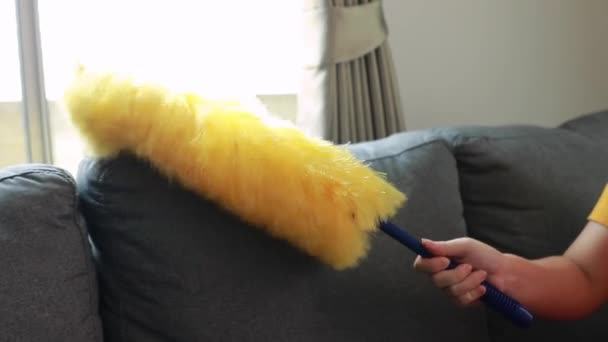 Young Asian Woman Who Does Housework Mask Uses Duster Dust — Stock Video