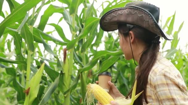 Beautiful Asian Farmer Wearing Cowboy Hat Good Mood Drinking Coffee — Video Stock