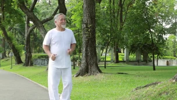 Retrato Retirado Anciano Asiático Haciendo Ejercicios Matutinos Jardín Sombreado Con — Vídeo de stock