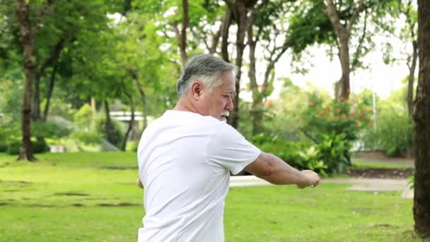 Pensionerad Frisk Asiatisk Äldre Man Motion Morgonen Skuggig Trädgård Med — Stockvideo