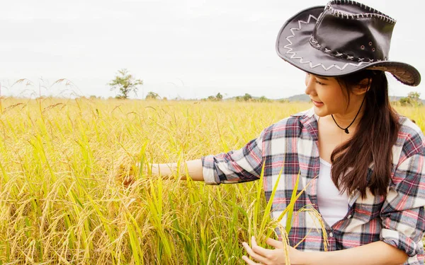 Gelukkig Als Aziatische Mooie Vrouw Boer Kijkt Naar Gouden Stengels — Stockfoto