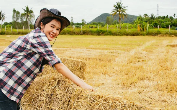 Asian Woman Farmer Outdoor Work Hat Collecting Dry Rice Straw — Stock Photo, Image