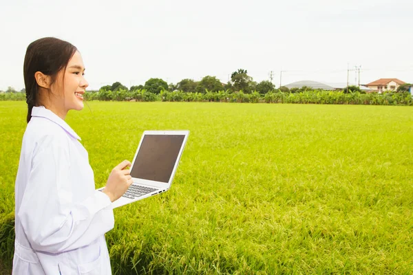 Female researcher asian agricultural sciences holding laptop inspects rice fields to develop rice varieties to withstand the topography of cultivated areas and achieve perfect growth.