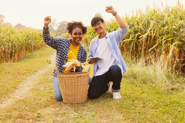 Asian farmer couple and an african american woman who love each other planting corn congratulate happy raising fists smile happy on the success of the farming of the corn farm near the harvest.
