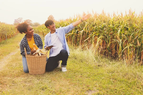 Asian farmer couple and an African American woman in love grow corn cash crop bragging about the success of the nearharvest farming : Couple\'s corn farm happiness concept