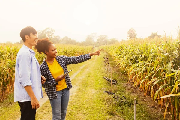 Couple asian worker and an African American woman a corn farmer standing holding laptop looking at the corn proudly at the corn farm\'s agricultural achievements : Couple\'s corn farm happiness concept.