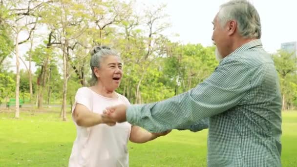 Mutlu Asyalı Yaşlı Çift Bahçede Dans Ediyor Parkta Eğleniyor Dans — Stok video