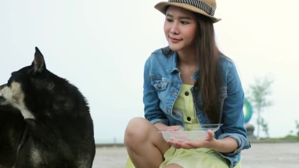 Портрет Красивая Азиатская Женщина Добра Кормить Черную Собаку Время Поездки — стоковое видео