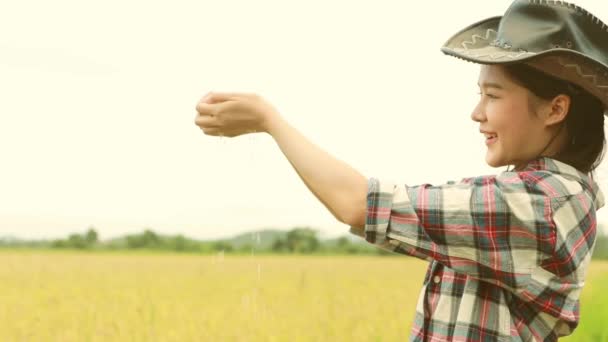 Счастливая Красивая Азиатская Женщина Фермер Стоять Рисовом Поле Глядя Красивые — стоковое видео