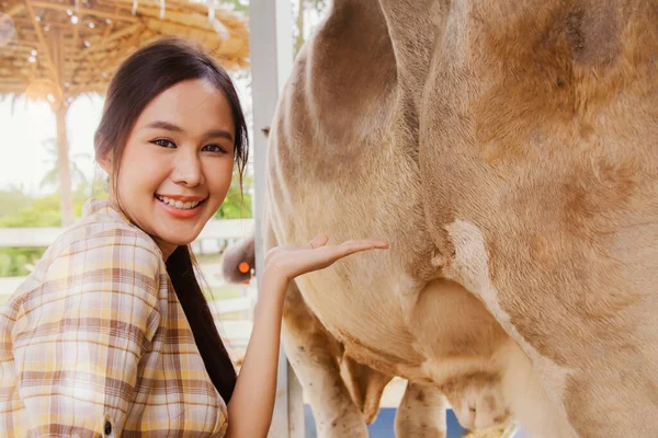 Boldog Portré Fiatal Ázsiai Farmer Mezőgazdasági Vállalkozó Kézzel Fejt Szarvasmarha — Stock Fotó