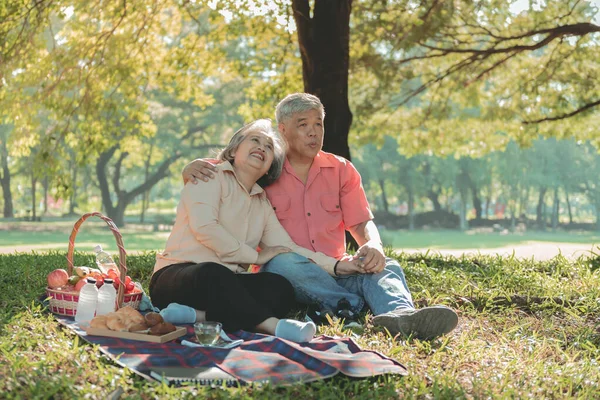 Азиатская Пожилая Пара Привлекательная Жена Муж Пикник Отдых Зеленой Лужайке — стоковое фото