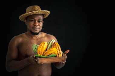 Afrikalı ünlü bir adamın portre resimleri, siyah arka planda bir sürü taze kakao tutuyor ve gösteriyor, insanlara ve kavramı işlemeden önce kakao meyvelerine.