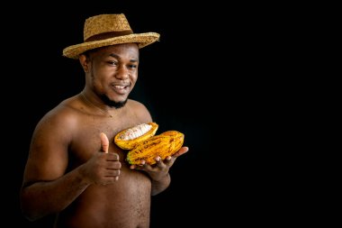 Afrikalı bir ünlü siyah arka planda taze kakao tutuyor ve gösteriyor, insanlara ve kakao meyvelerine kavramı işlemeden önce..