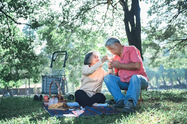 Азиатская Пожилая Пара Привлекательная Жена Муж Пикник Питьевой Чай Отдых — стоковое фото