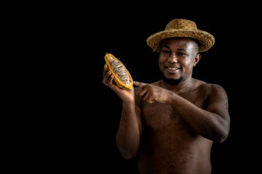 Afrikalı bir ünlü siyah arka planda taze kakao tutuyor ve gösteriyor, insanlara ve kakao meyvelerine kavramı işlemeden önce..
